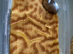 -纯坊佳哥手作(江汉路店)