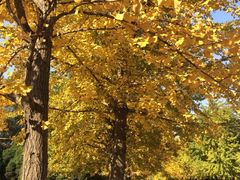 iphone_upload_pic-辽宁大学(崇山校区)