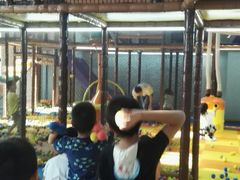 -蒙特利亲子乐园