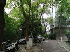 -南京市实验幼儿园