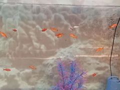 -德全心悦酒店(北京金台路地铁站店)