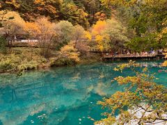 -如意林卡藏餐吧 (九寨沟店)