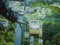 -黔灵山公园