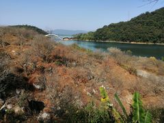 -广州市流溪河国家森林公园