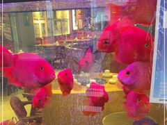 -釜山火炉韩式炭火烤肉(欧洲城店)