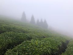 -东白山