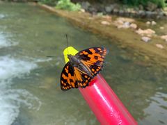 -北仑森林植物园