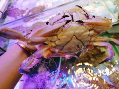-四海蒸鲜蒸汽海鲜自助(北戴河店)