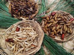 -昆虫窝子·特色云南菜(拓东路总店)