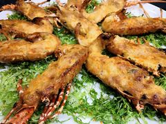 -顺德了能馆(虎门店)