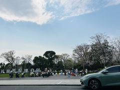 -长田漾湿地公园