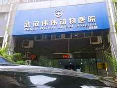-伟伟宠物医院·CT影像中心·瑞派犬猫综合性门诊(汉口总院)