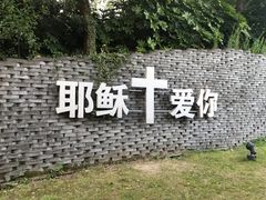 -美丽洲堂