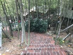 -大本营竹筒饭