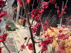 -回龙窝历史文化街区