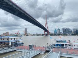 -复旦大学附属妇产科医院(杨浦院区)