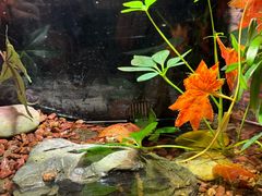 -上海海洋水族馆