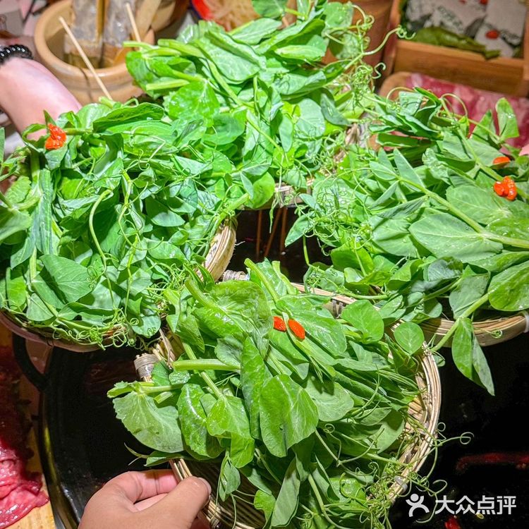 因为张国荣！！又多爱上了一家火锅🔥🔥