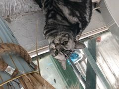 -小时光咖啡馆(北锣鼓巷店)