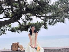 -小麦岛公园