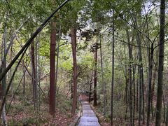 -敬亭山风景名胜区