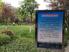 -龙头寺公园
