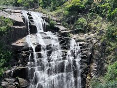 -海南热带雨林国家公园吊罗山景区