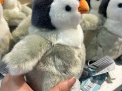 -上海海昌海洋公园