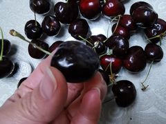 -江杨农产品批发市场