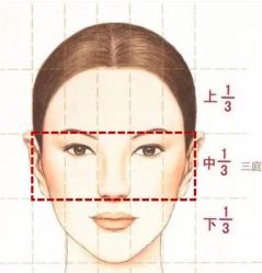 -上海首尔丽格医疗美容医院