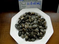 辣炒蛤蜊-海岛渔村大酒店(云霄路店)