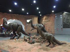 -中国西峡恐龙遗迹园
