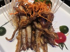 -赵小姐丨新中餐(曲江店)