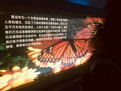 -上海昆虫博物馆