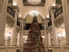 -LONG BAR 廊吧(外滩华尔道夫酒店)