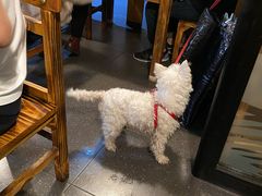 -江湖餐厅–重庆九宫格老火锅