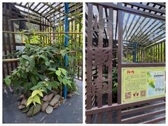 -广州神农草堂中医药博物馆