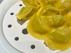 -船歌·鱼水饺青岛菜(太阳宫凯德MALL店)