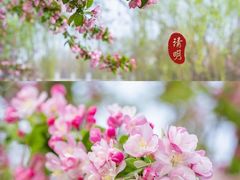 -海棠花溪(元大都城垣遗址公园)