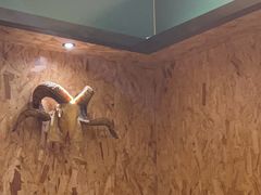 -蒙料·手把肉(望京店)
