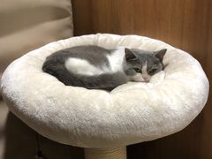 -IFIF 如果花園(宽厚里店)