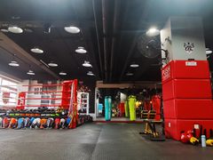 -TFC 纯泰拳馆MuayThai