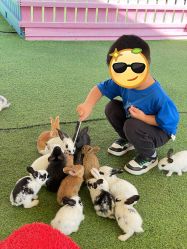 -萌宠亲子动物乐园(槐房万达店)