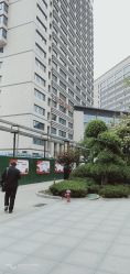 -河南中医药大学第一附属医院-医疗整形