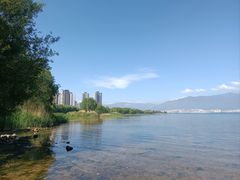 -大理洱海