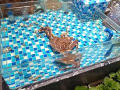 -映像威海·海鲜味道(市区店)