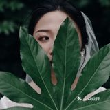 ♛{日系电影感}🌿又甜又高级，小众婚纱照