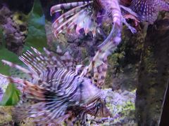 -太平洋海底世界