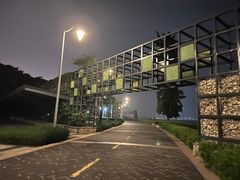-深圳湾公园(南山区)