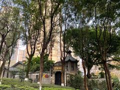 -重庆市江北嘴中央商务区中央公园